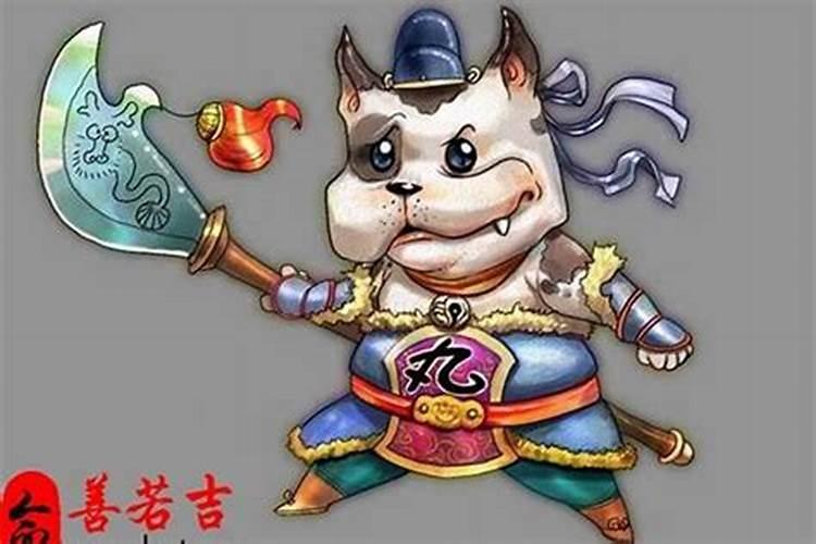 属狗2019年运势如何