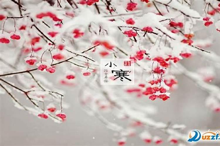 大运与流年哪一个更重要