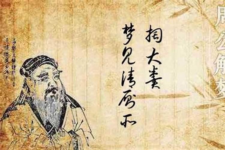 兔和鸡怎么化解相冲最有效