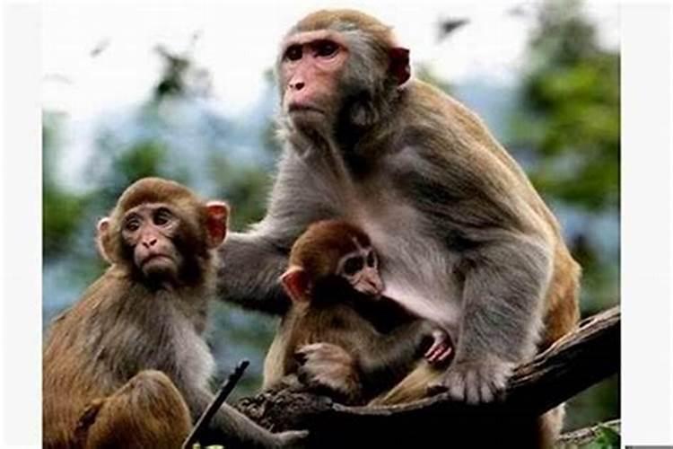 梦见陌生人跟我表白的预兆