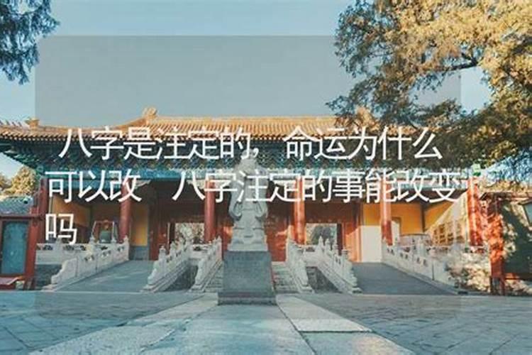 八字算命:怀上谁的孩子是命中注定的吗