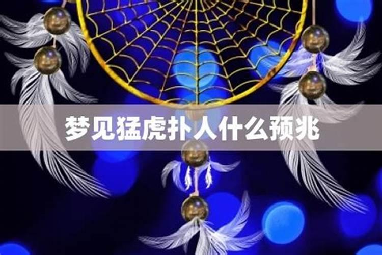属狗的上等出生时辰