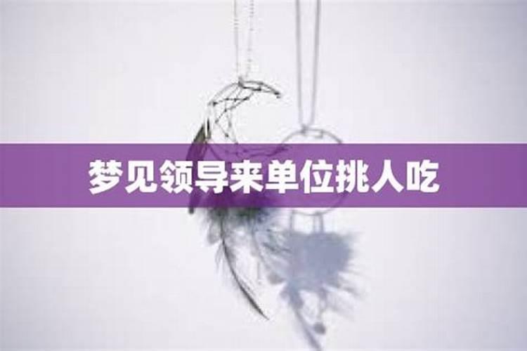 梦见女领导什么预兆