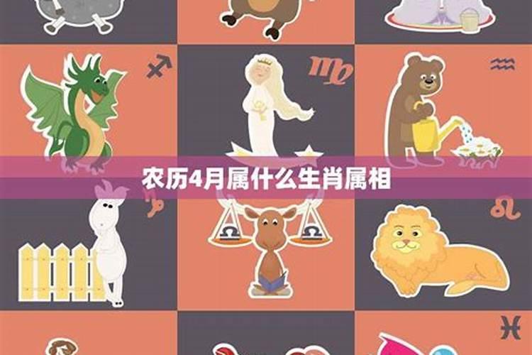 属猪人不同月份出生的命运都如何