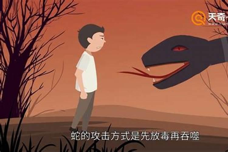 71年属猪是什么命 五行属什么