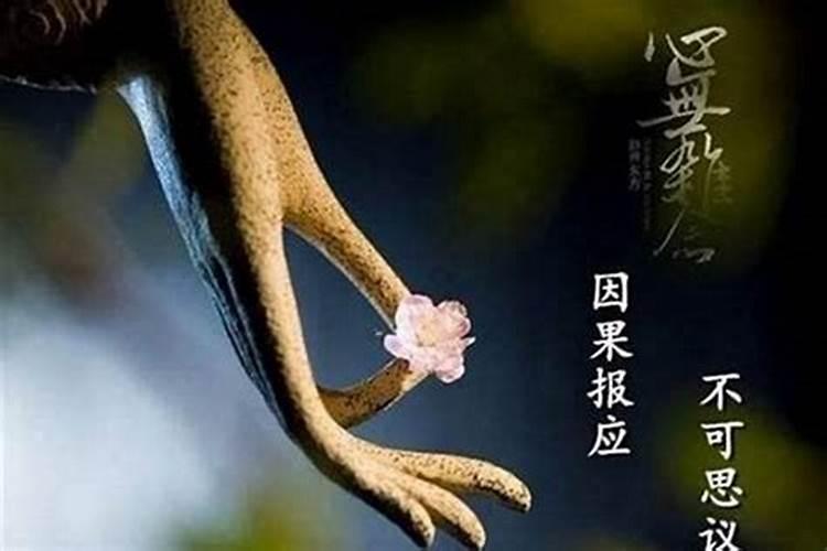 求秦殇最完整的攻略