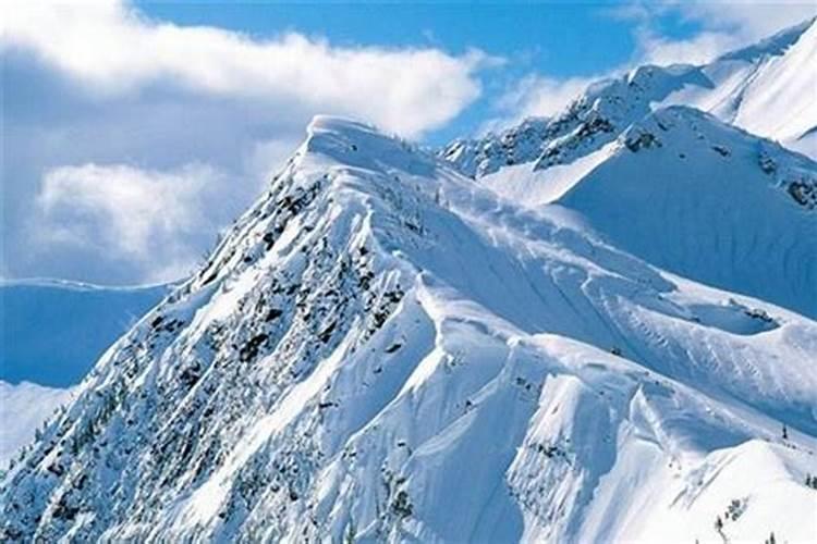 梦见好厚白雪埔满路的预兆