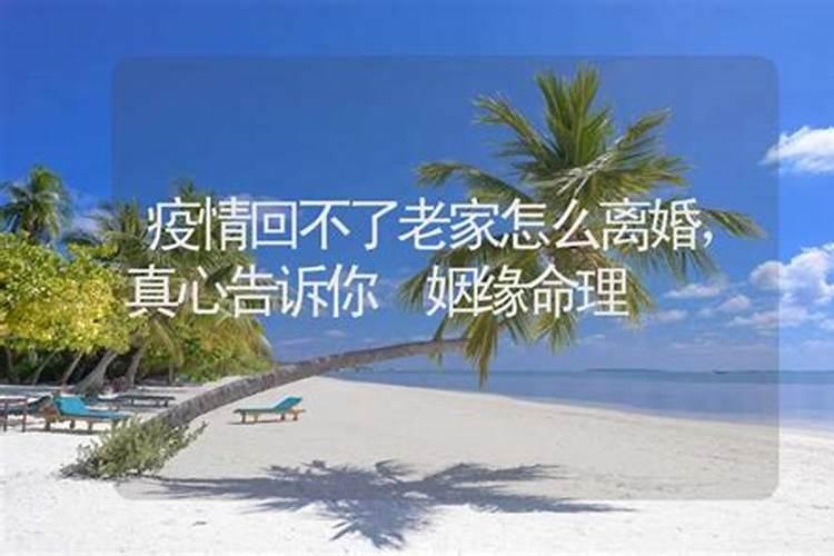 梦见真在闹离婚的弟媳突然回家了