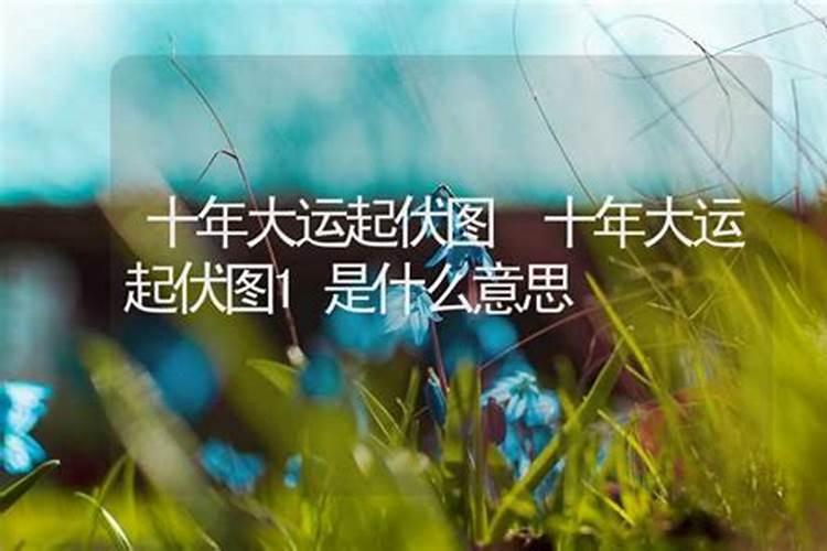 换大运是什么意思