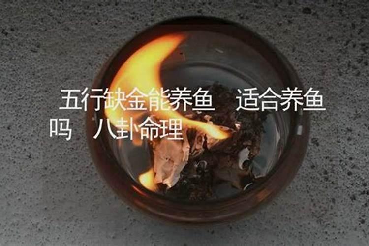 我的生辰八字,适合养鱼吗？