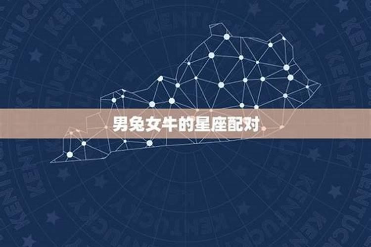 龙和兔的婚配属相好吗