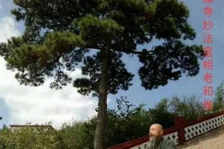和尚可以娶老婆吗？