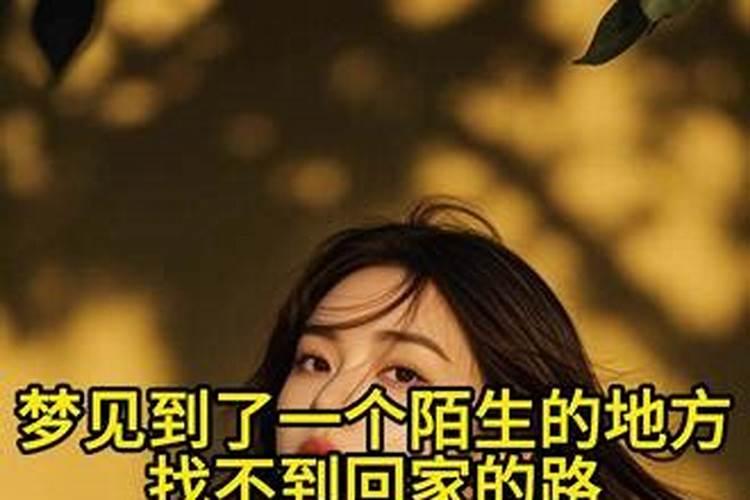 为什么腊月出生的虎命不好 饿虎命硬八败命命硬？