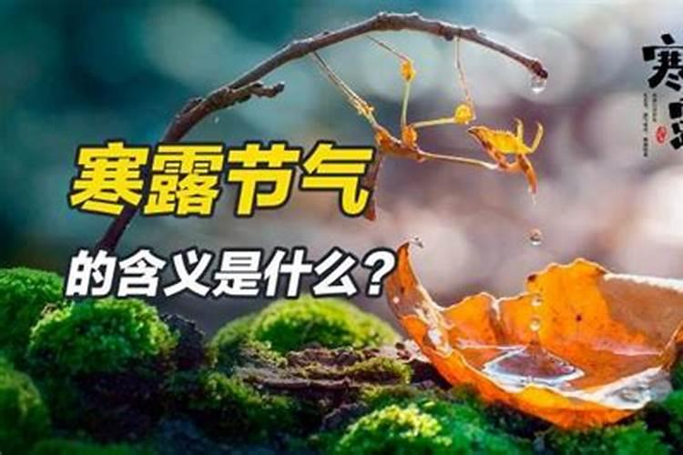 秋分节气的含义