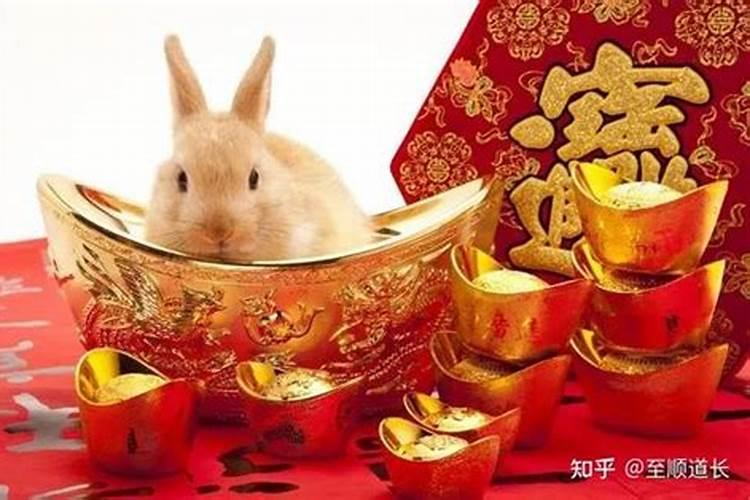 属兔2023年离婚能找到如意的吗 属兔人离婚还会回头吗