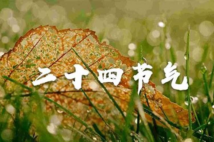 算命官非是必坐牢吗