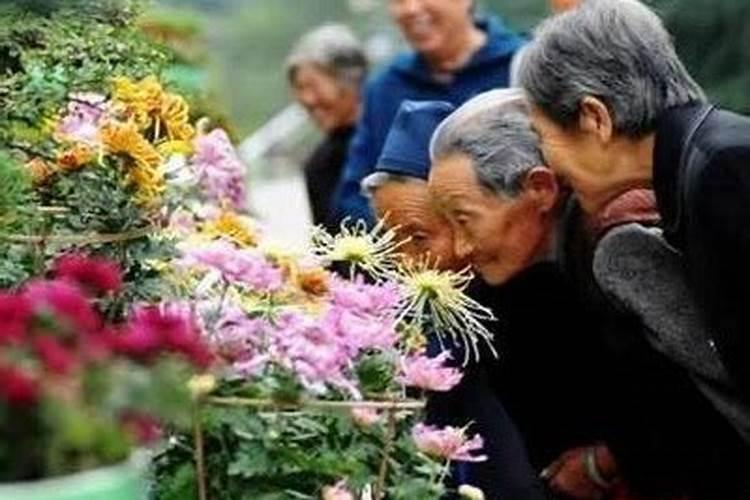 冬至有些什么风俗