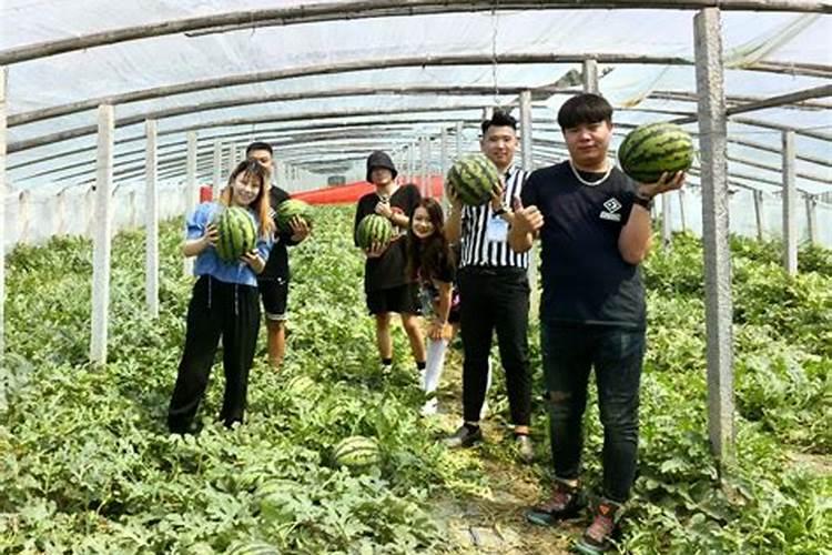 梦见别人掉到大海里的预兆