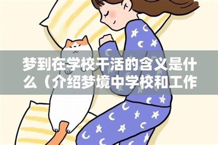 生肖鼠96出生2025年几岁了