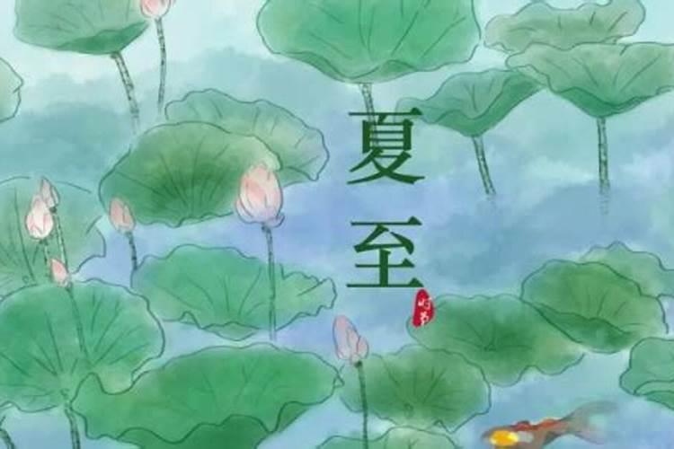 1997年农历七月十五中元节出生的人八字怎样