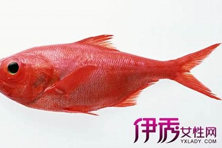 梦见吃鱼带刺吃