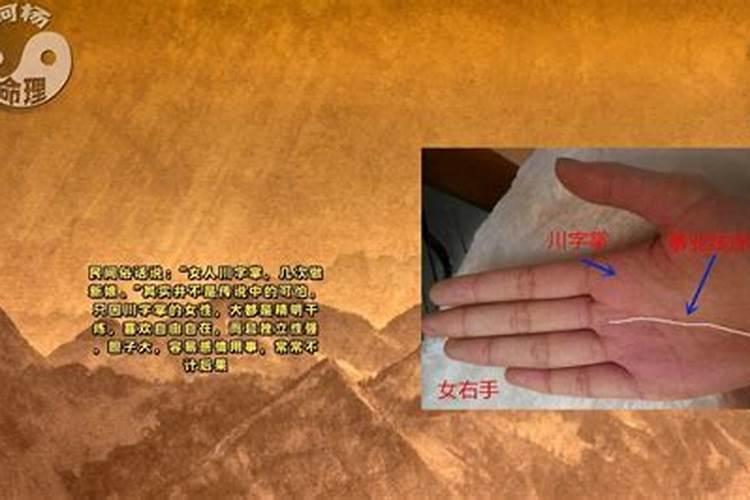 川字掌是一生轻松不用愁的手相吗