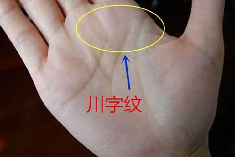 川字掌的其他信息