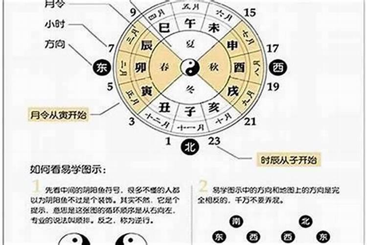 56年属猴晚年的坎坷与困境56年属猴人的灾难年龄