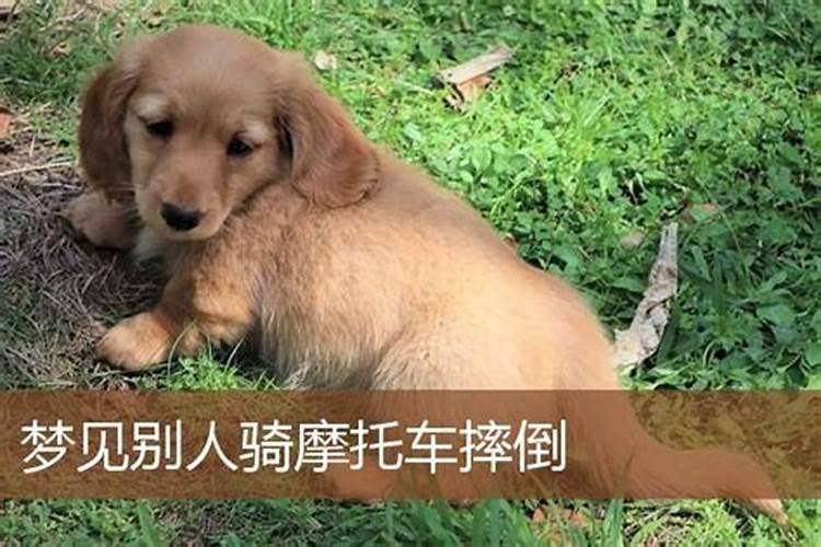 梦见有人骑摩托车的预兆