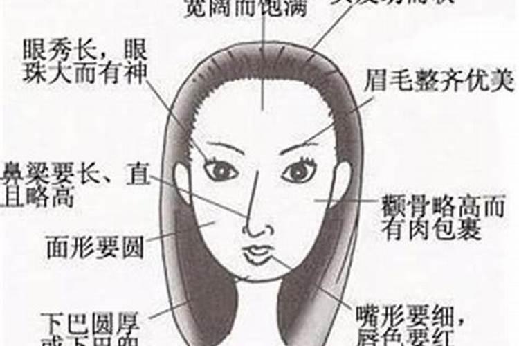 属蛇男为什么喜欢大女人？