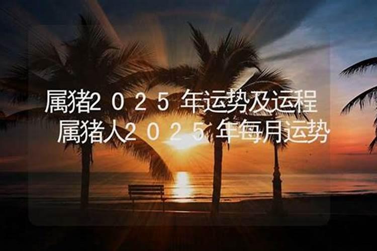 今年猪年的运势怎么样2025年
