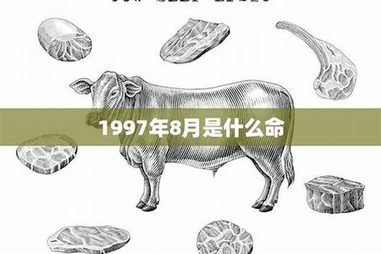 人长的帅的好看的那他的命是不是就是好命？