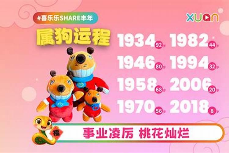 十二生肖2019年运势排名