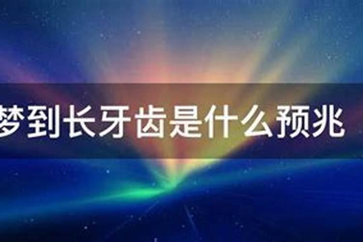 属虎和什么属相最配