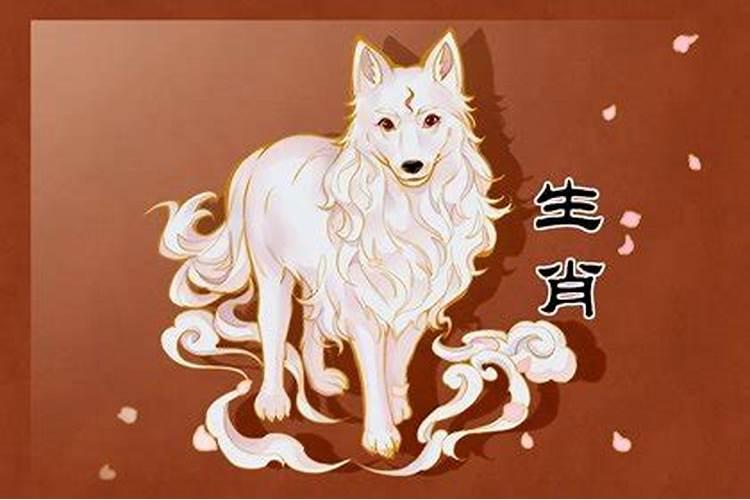 7O年属狗犯太岁怎么办好