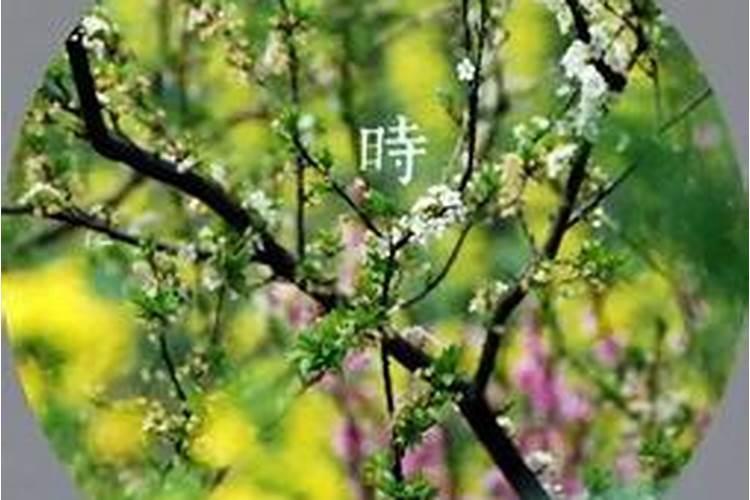 润月初四可做风水阴间事吗？