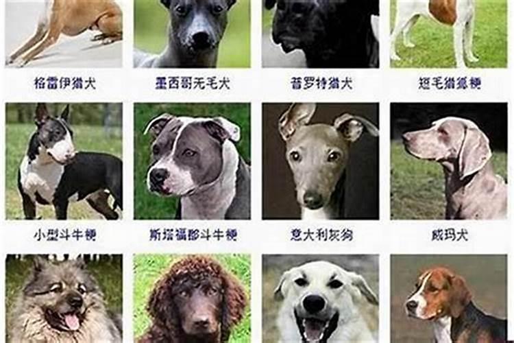 象征财富的男名字 男艺名带财运的名字最新