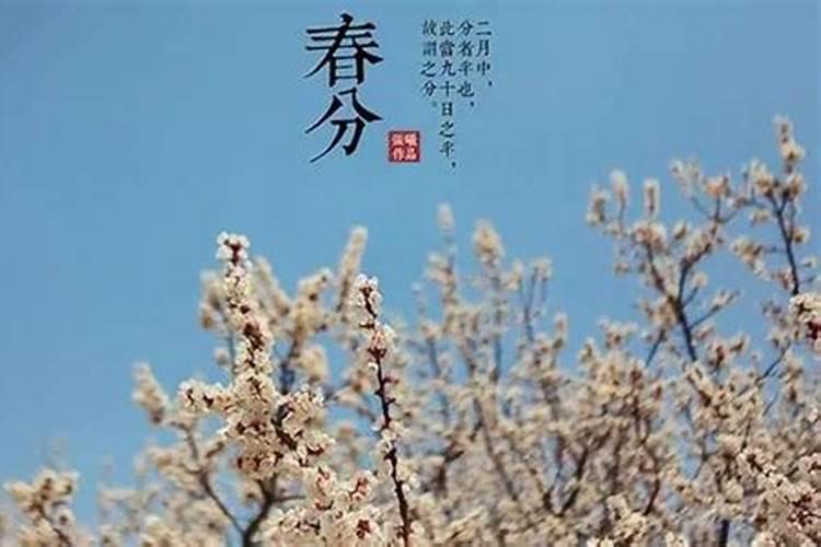 春分和立春哪个先到