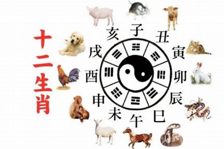 属猪人不同月份出生的命运都如何