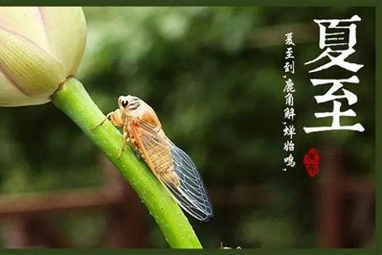 母亲为堕胎婴灵超度,供奉地藏菩萨,母亲名字刻在菩萨底座下面,会损福报...