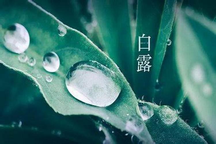 徐闻特色小吃 徐闻小吃都有什么