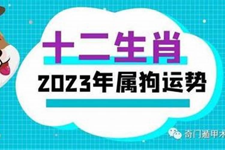 属狗人五月命运预测