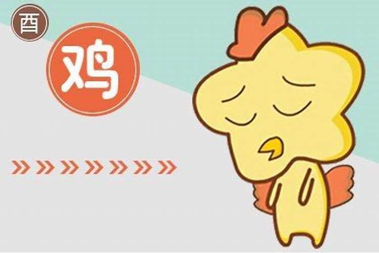 2025鸡人全年运势如何