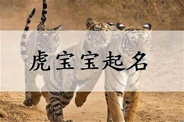 姓徐有哪些帅气的男孩名字 姓徐的虎宝宝男孩名字大全