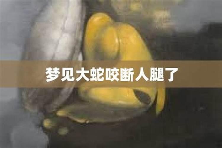 梦见大蛇但是被别人杀了的预兆