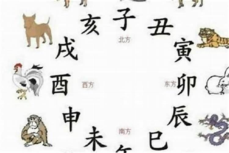 猪和蛇在一起对谁不利 巳蛇和亥猪合婚化解方法