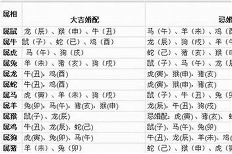 属蛇的和什么属相最配和相克