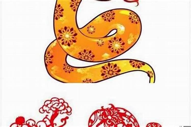 属蛇的结婚忌哪些属相