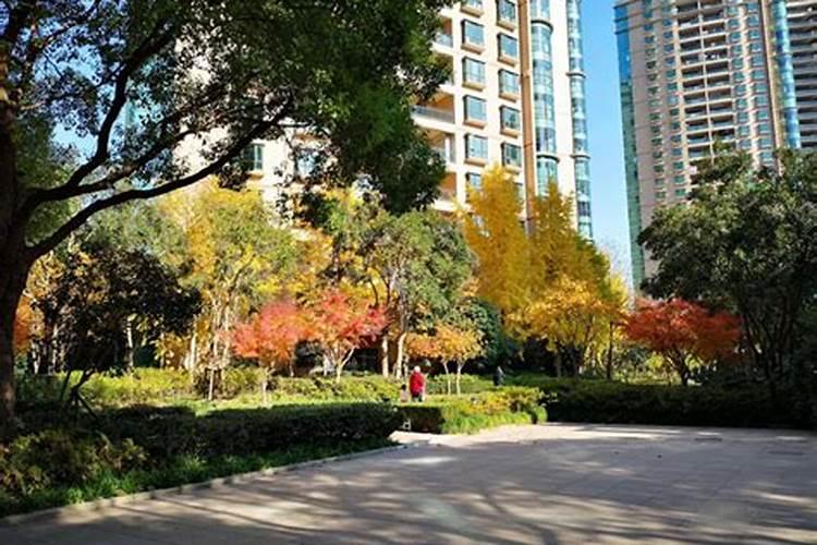 梦见想要买房去看房的预兆