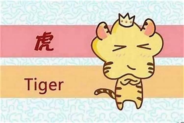 本命年虎年要注意什么？